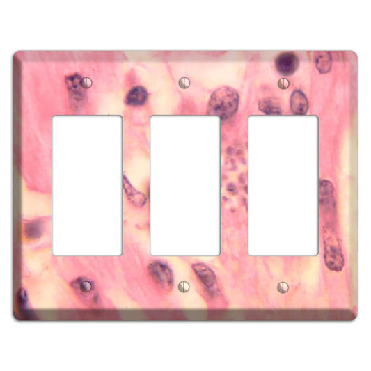 Trypanosoma Cruzi Heart 3 Rocker Wallplate