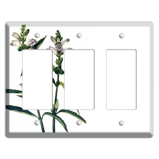 Chelone Glabra 3 Rocker Wallplate