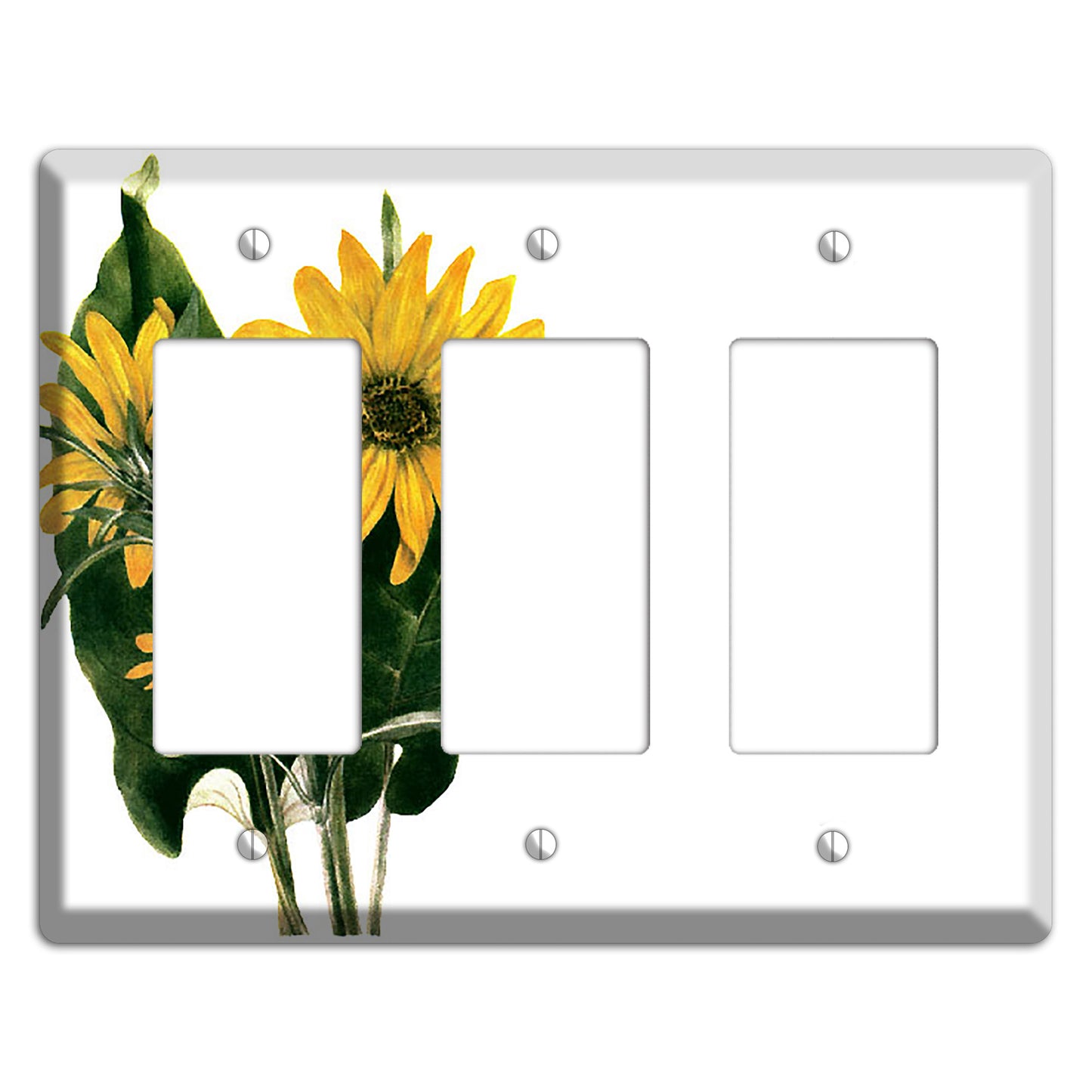 Balsamorhiza Sagittata 3 Rocker Wallplate