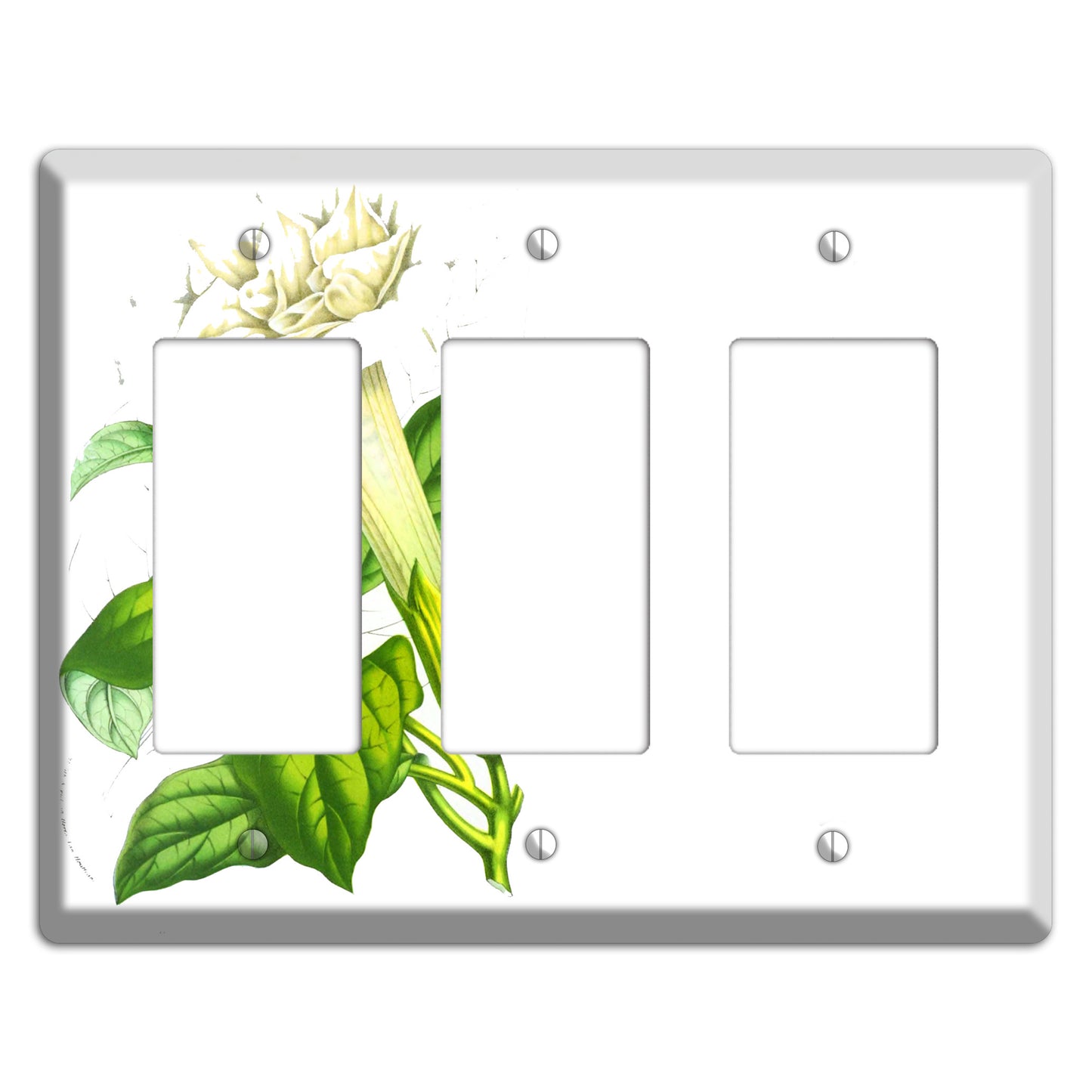 Datura Fastuosa 3 Rocker Wallplate