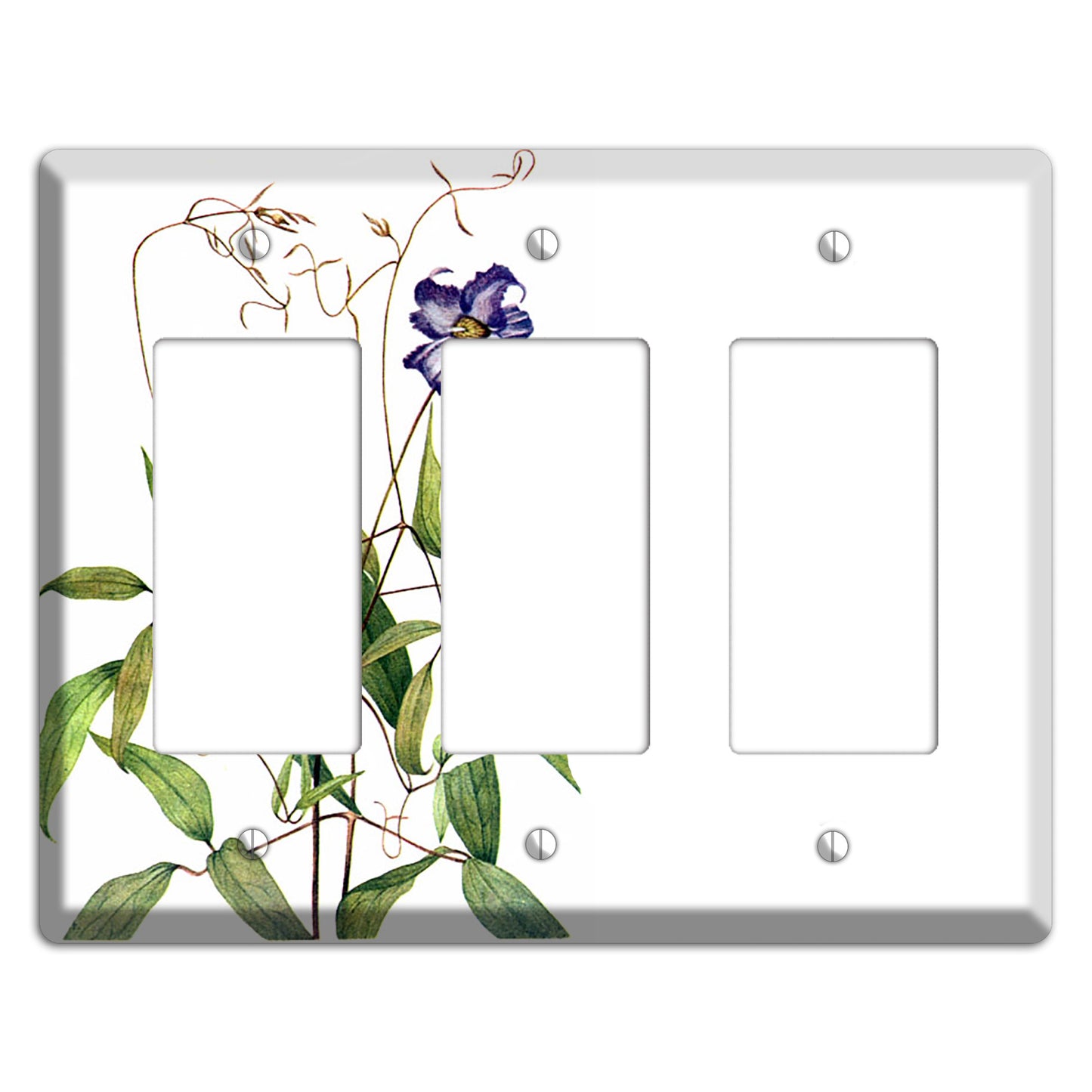 Clematis Crispa 3 Rocker Wallplate