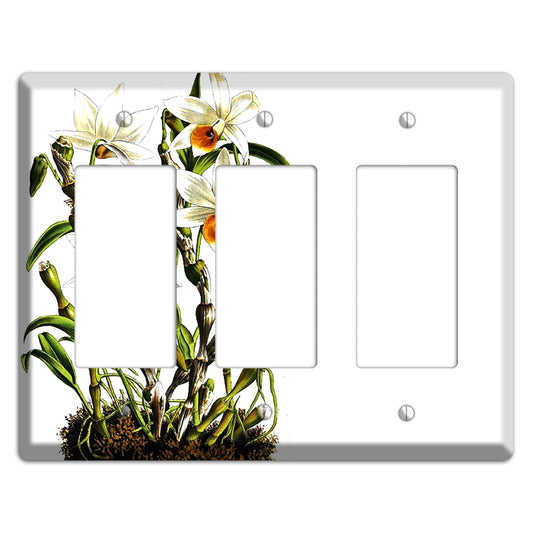 Dendrobium 3 Rocker Wallplate