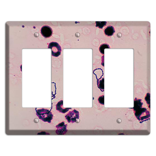 Streptococcus Viridans 3 Rocker Wallplate