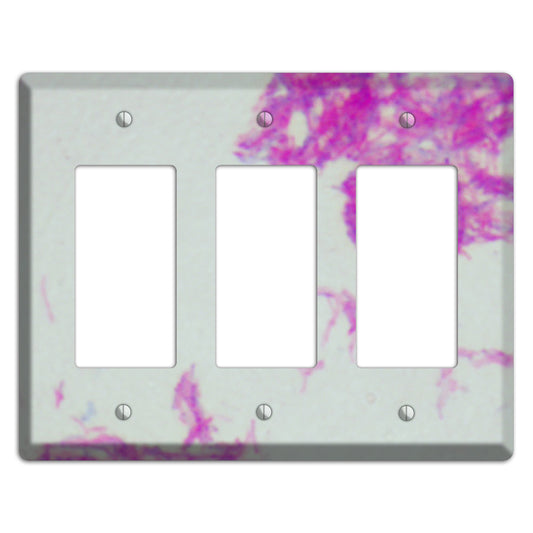 Mycobacterium Bovis 3 Rocker Wallplate