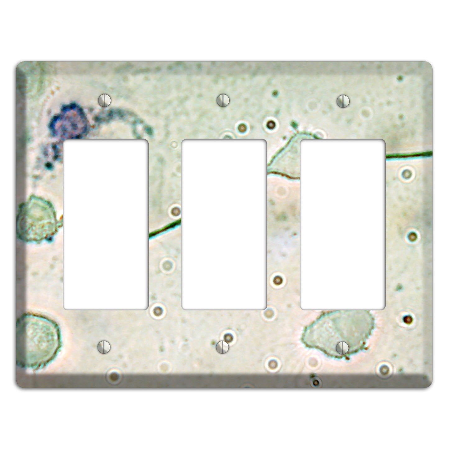 Macrophage 3 Rocker Wallplate