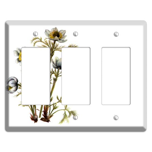 Aenmone Occitentalis 3 Rocker Wallplate